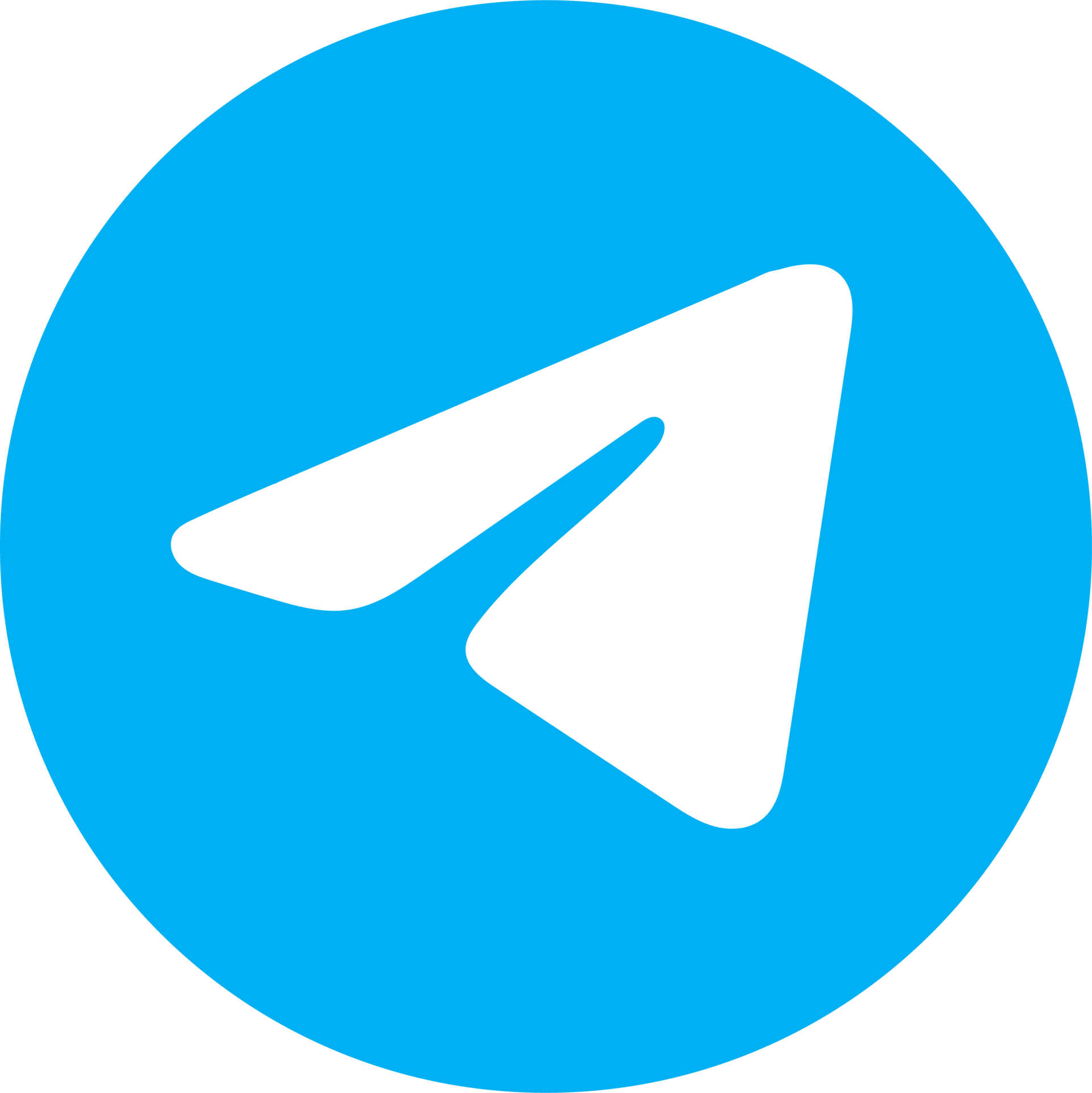 Telegram Icon