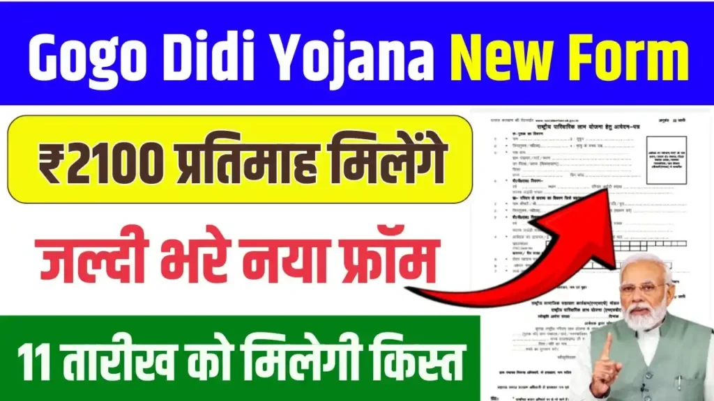 Gogo Didi Yojana New Form