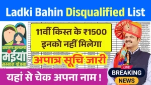 Ladki Bahin Yojana 11th Kist Disqualified List